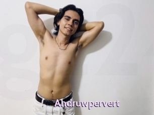 Andruwpervert