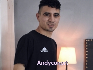 Andyconort