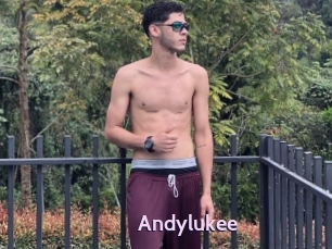 Andylukee