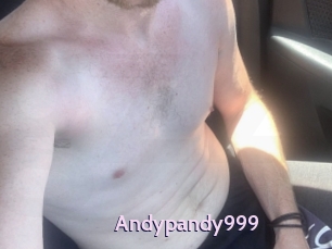 Andypandy999