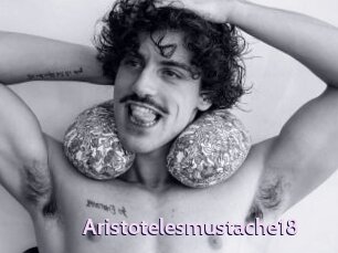 Aristotelesmustache18