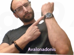 Avalonadonis