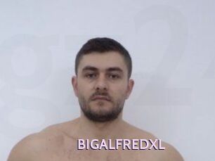 BIGALFREDXL