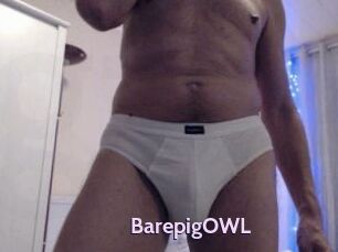 BarepigOWL