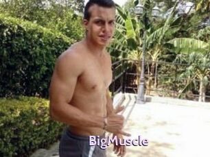 Big_Muscle