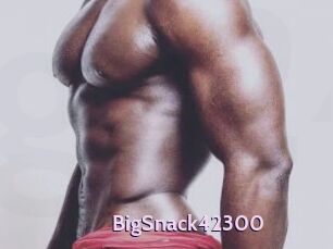 BigSnack42300