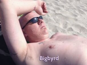 Bigbyrd