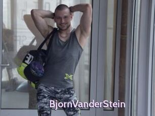 BjornVanderStein