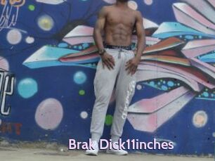 Brak_Dick11inches