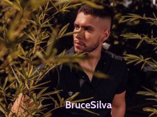 BruceSilva