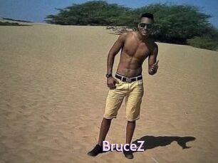 BruceZ