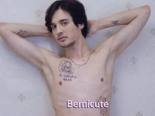 Bernicute