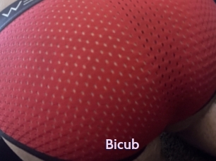 Bicub