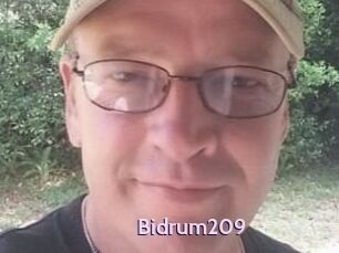 Bidrum209