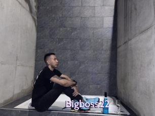 Bigboss22