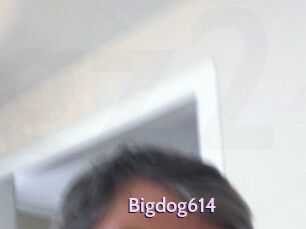 Bigdog614