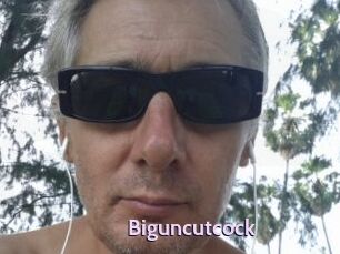 Biguncutcock