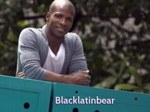 Blacklatinbear