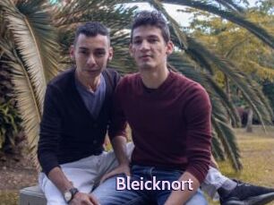 Bleicknort