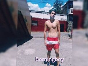 Borningboy