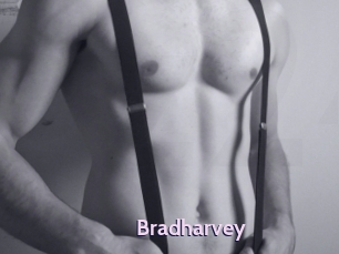 Bradharvey