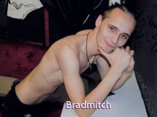 Bradmitch