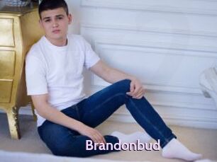 Brandonbud