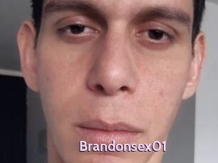 Brandonsex01