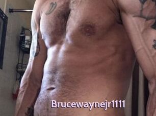 Brucewaynejr1111