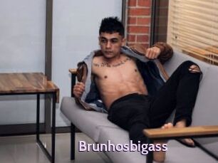 Brunhosbigass