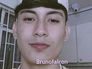 Brunofalcon