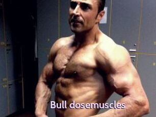 Bull_dosemuscles