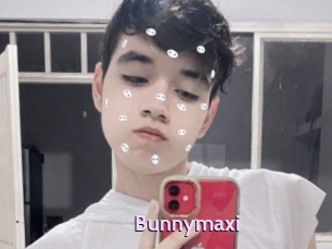 Bunnymaxi