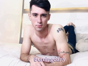 Burningdany