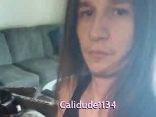 Calidude1134