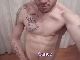 Caneo