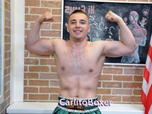 CarlitoBoxer