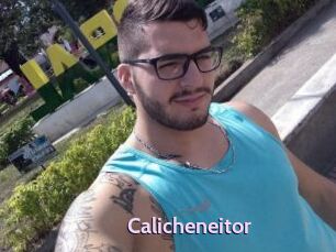 Calicheneitor