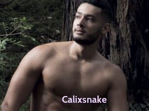 Calixsnake