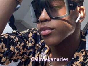 Callmekanaries