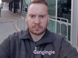 Cangingie