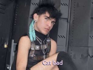 Cat_bad