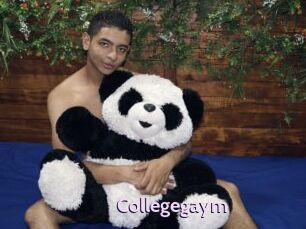 Collegegaym