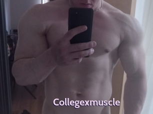 Collegexmuscle