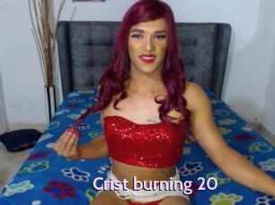 Crist_burning_20