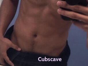 Cubscave