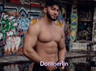 Donmerlin