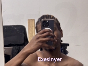 Exesinyer