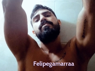 Felipegamarraa