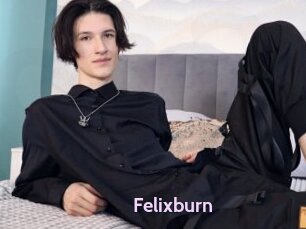 Felixburn